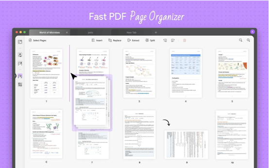 Organize and arrange pages quickly